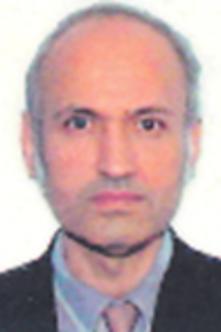 prof. dr. ing. Ștefan Holban