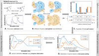 Overview of the proposed agent-based opinion injection simulation framework which improves real-time opinion poll distribution forecasting in large social networks.