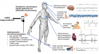 Project overview: physiological signals are gathered 